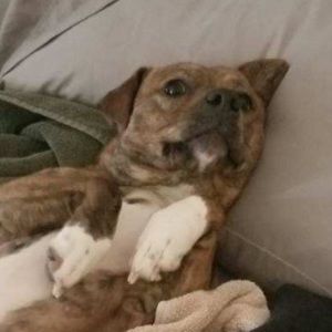 Meet your Posher, Allison